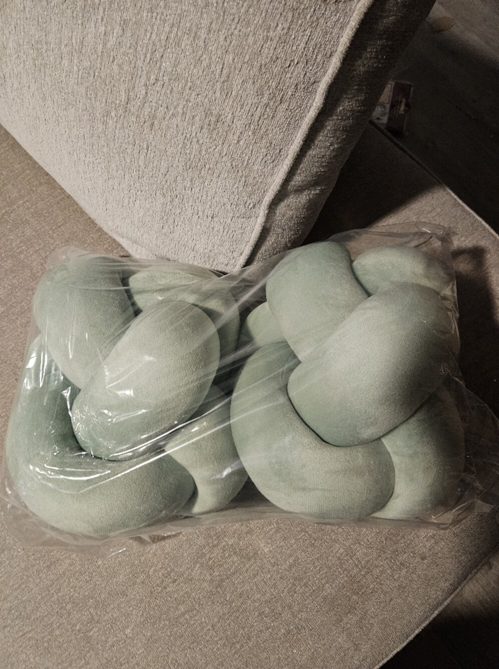 Set Of 2 Plush Knot Pillow in Mint